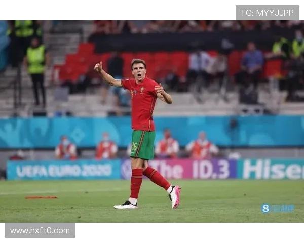 帕利尼亚与赖斯覆盖能力及全面性对比分析